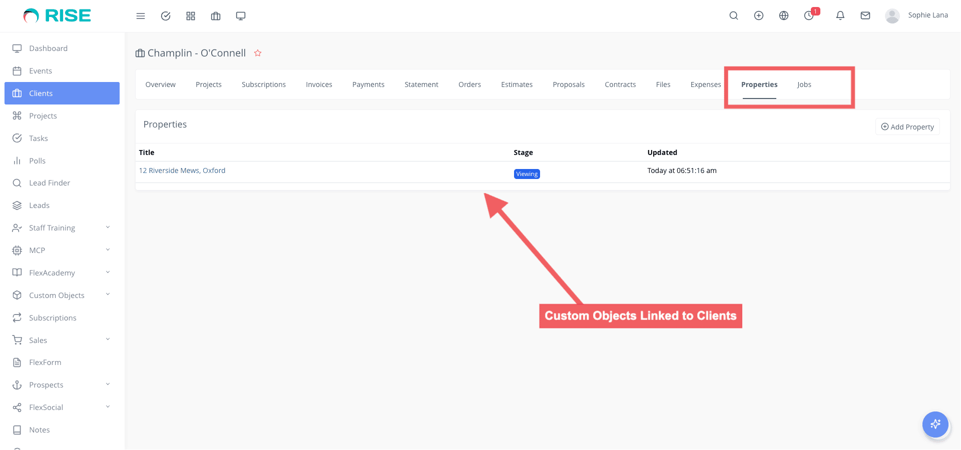 Custom Objects Module for RISE CRM screenshot 11